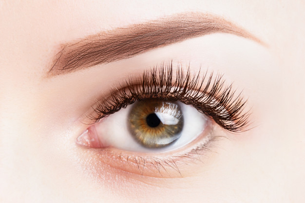 what are hybrid eyelashes